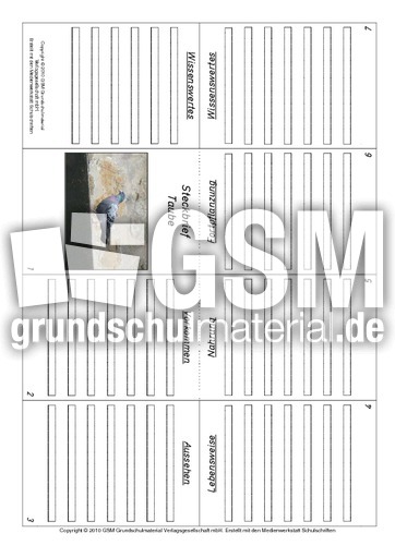 Faltbuch-Taube.pdf